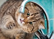 В Нафтогазе заявили, что делают все, чтобы Киеву не отключили горячую воду