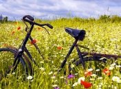 Погода в Украине 6 июля: ожидается относительно теплая погода