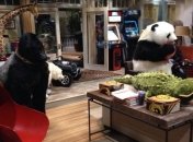 Мила Кунис и Эштон Катчер обустроили "комнату мечты" для малышки