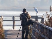 Nature Photographer of The Year: названы призеры конкурса на лучшее фото природы (Фото)