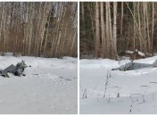 В Подмосковье упал беспилотник