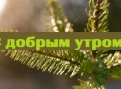 Картинки, открытки и пожелания хорошего зимнего утра 