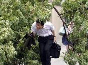 Тайфун "Факсай" оставил тысячи японских домов без электроэнергии