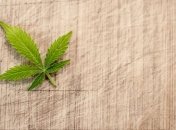 Вопрос декриминализации марихуаны разделил правящие партии Италии