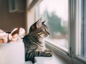 Фактически, этот метод уже вами проверен