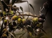 Диабетикам стоит налетать на этот продукт