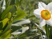 До +20 и дожди с грозами: в Украине будет тепло, но дождливо