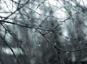 Погода в Украине на 28 декабря: преимущественно дождь с мокрым снегом