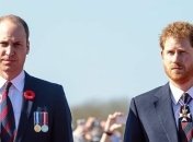 "Этот парень переступил черту": принц Уильям может больше не протянуть руку помощи своему брату