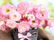 Поздравления в прозе с Днем Рождения