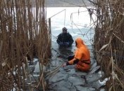 Спасатели назвали число погибших на водоемах с начала года