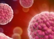 Человеческий организм нашел способ бороться с болезнями и старением