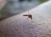 Графен vs комары: Самому тонкому материалу в мире придумали новое применение