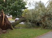 Над Польшей пронеслись сильные ураганы