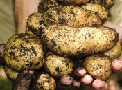 Берегите свою нервную систему: ТОП-10 продуктов, богатые на калий (Фото)