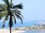 На пляжах Гоа запретили алкоголь