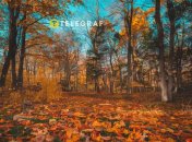 Какой сегодня праздник - День святого Иосафата