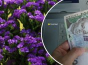 Заработок на цветах