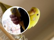 Жесткие издевательства над "волнистым" попали в сеть