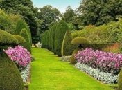 Замечательные идеи для оформления вашего сада (Фото)