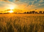 Літнє сонцестояння: що це і коли буде