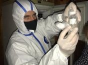 В Киеве женщина украла из лаборатории опасные штаммы вируса