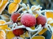 Погода в Украине на 29 октября: ночью будут заморозки