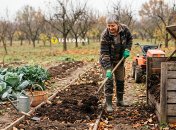 Очень важно осенью подготовить участок к зиме