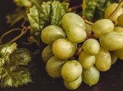 Полезное дополнение в вашем рационе: виноград поможет сохранить фигуру 