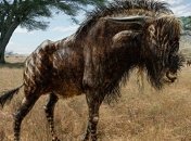 У древней антилопы обнаружили нос динозавра