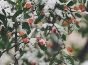 Ударят сильные морозы: синоптики рассказали, какой погоды ожидать 2 декабря