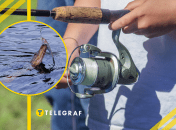 На Вінниччині рибалка впіймав велику щуку