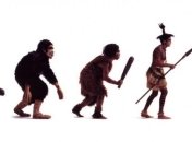 Быстрый метаболизм помог предкам человека стать умнее приматов