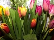 Зворушливі привітання коханій дівчині зі святом 8-го березня