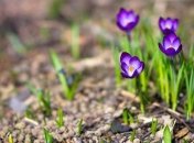 Погода в Украине 5 апреля: тепло и солнечно 