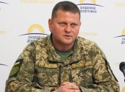 Новым главкомом ВСУ назначен Валерий Залужный: биография генерал-майора