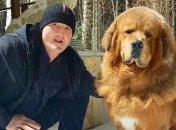 Лебедев может сразиться за вакантный пояс WBA при переходе Усика в хэвивейт