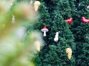 Зажжение главной елки на Софийской площади: полное видео