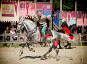 Под Киевом пройдет международный турнир конных лучников