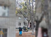 Девушка на дереве