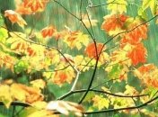 Прогноз погоды на 11 октября: в некоторых регионах сильные дожди