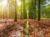 Погода в Украине: начало недели будет дождливым