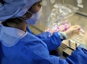 Исследования коронавируса продолжаются по всему миру.