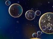 В Марианской впадине обнаружены бактерии, питающиеся нефтью