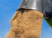 ЕИБ вложится в сектор хранения зерна в Украине: создадут более 1000 рабочих мест