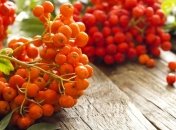 Прогноз погоды в Украине на 20 сентября: дожди на западе и в Крыму