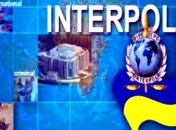 Украинский Интерпол рассказал, почему блокируется розыск экс-чиновников (Видео)