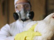 В Китае вспыхнул новый вирус, тяжело переносимый человеком: подробности