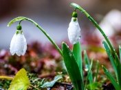 С завтрашнего дня в Украине похолодает