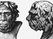 Неандертальцев погубили большие глаза